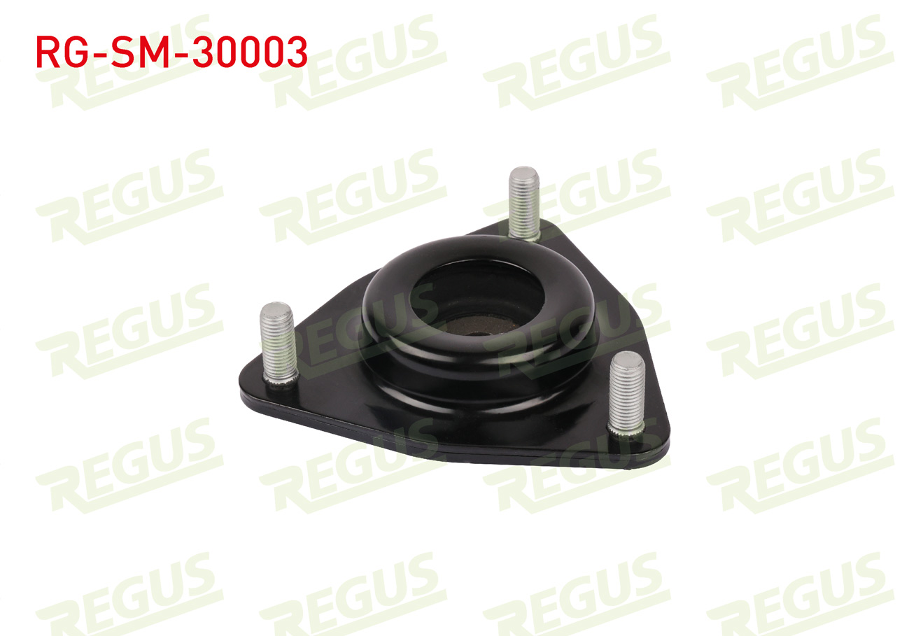 REGUS 63-13544