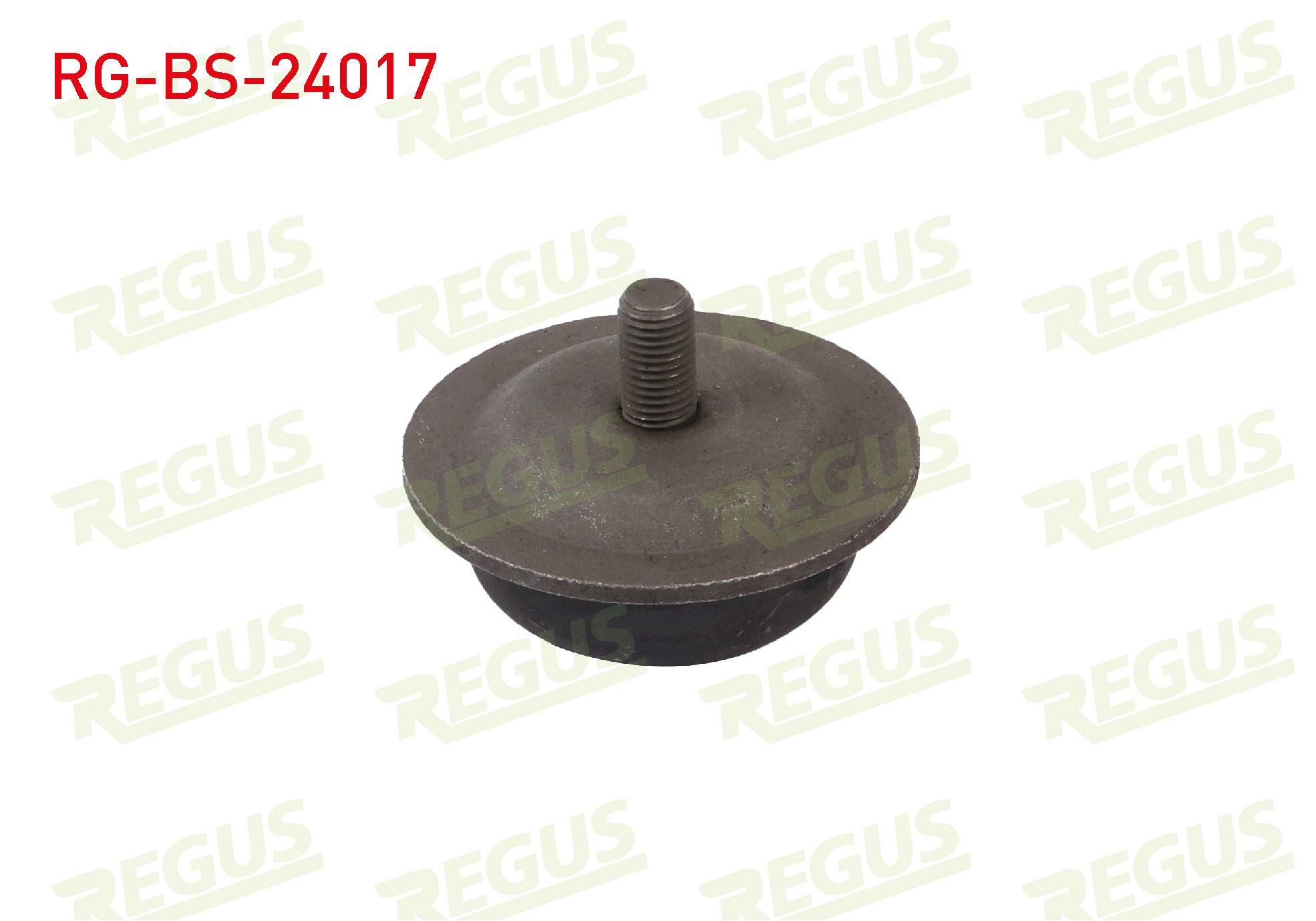REGUS 57-12219