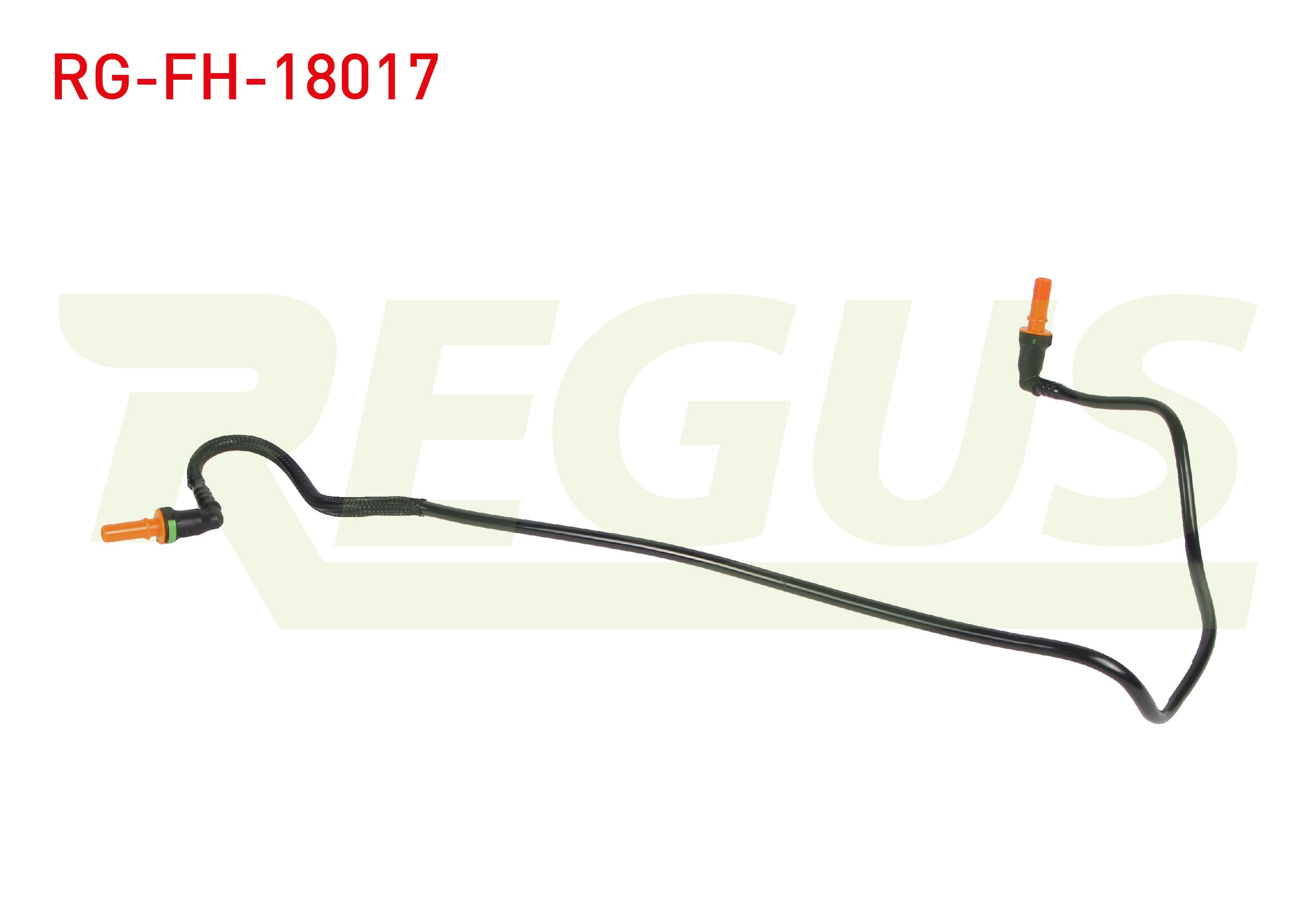 REGUS 