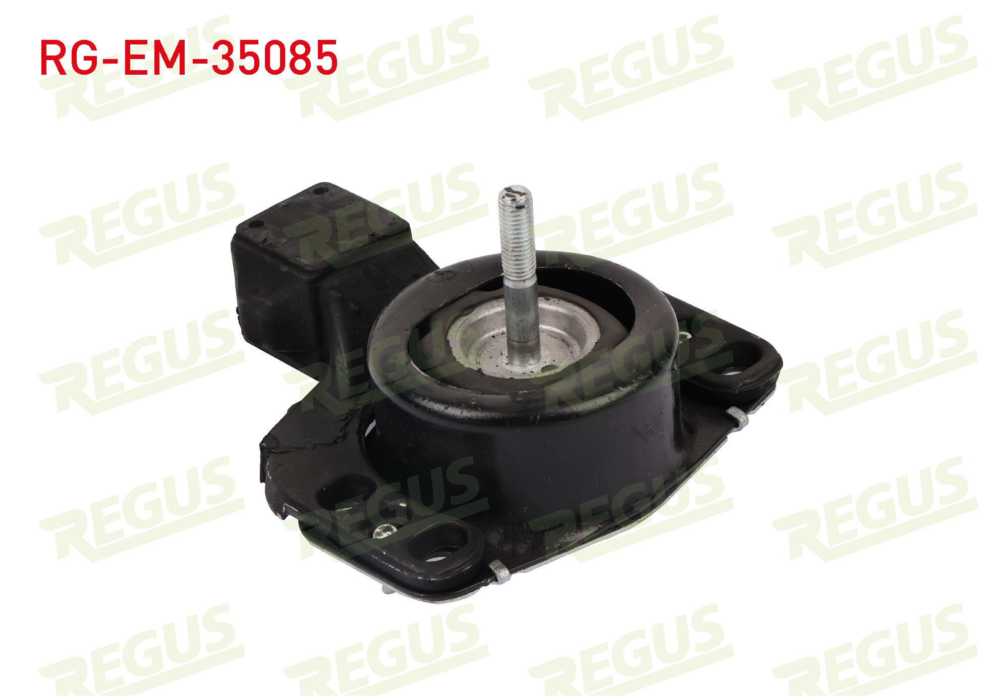 REGUS 36319