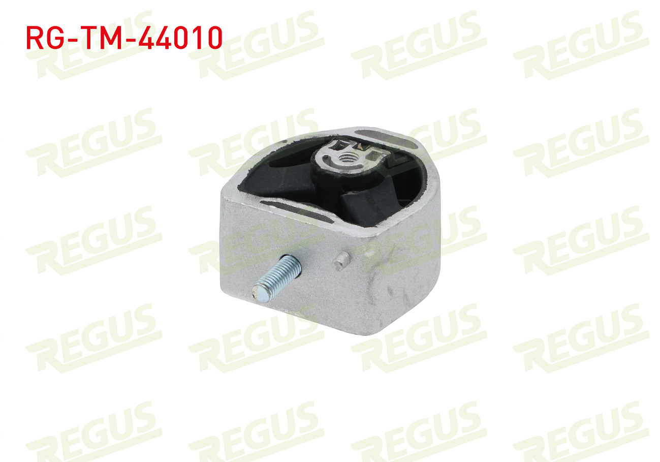 REGUS 