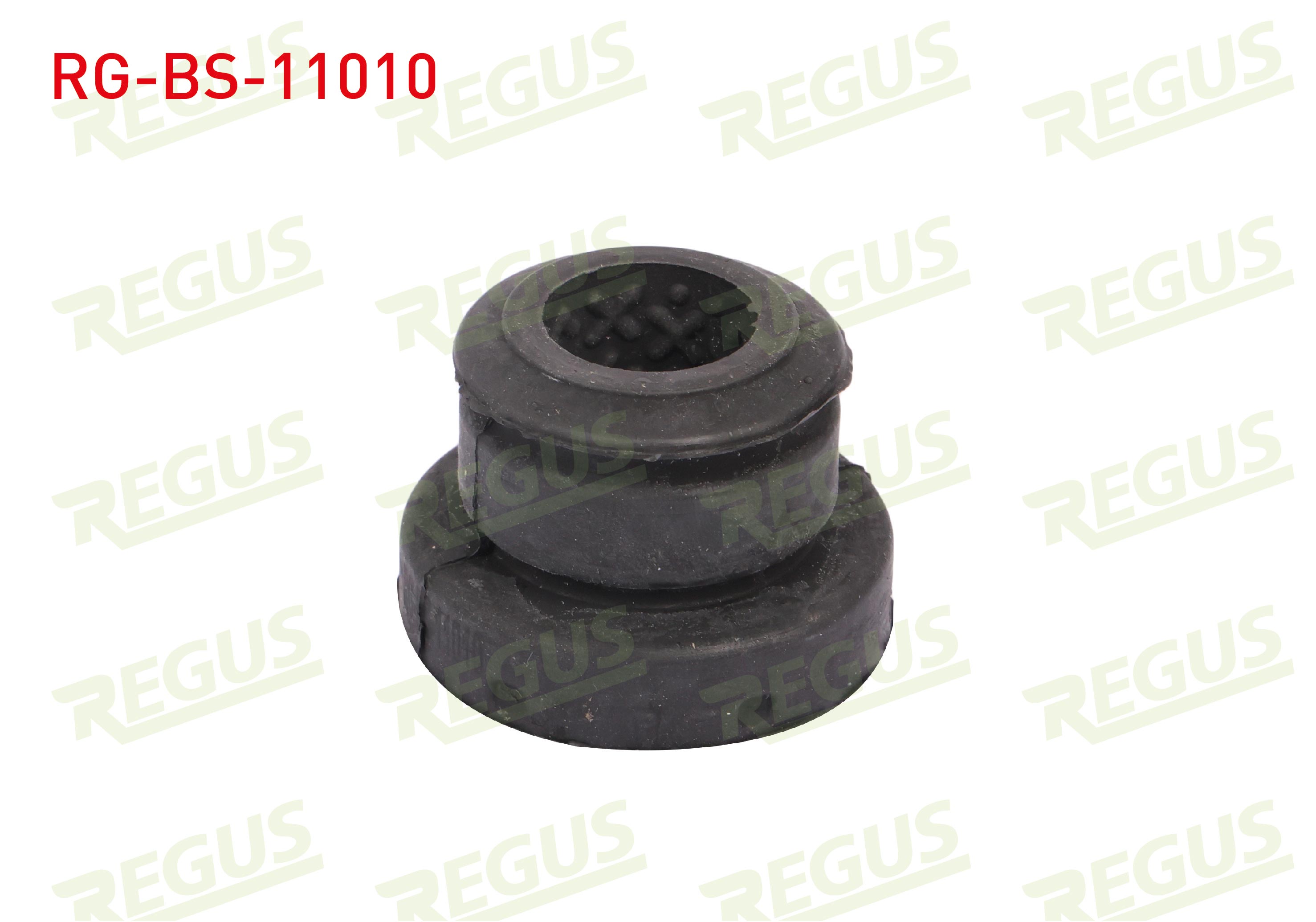 REGUS SB 208