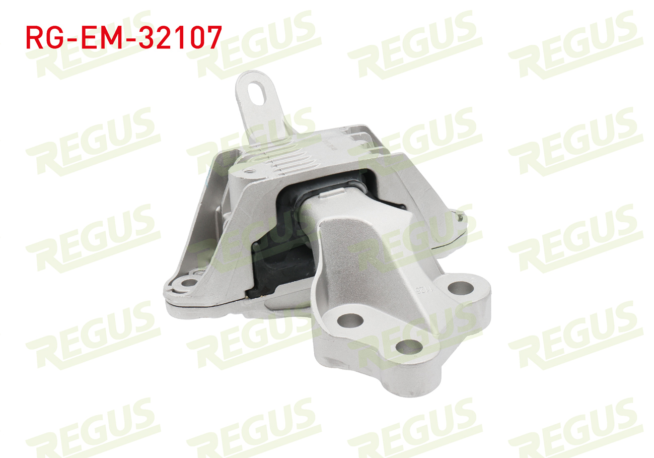 REGUS 