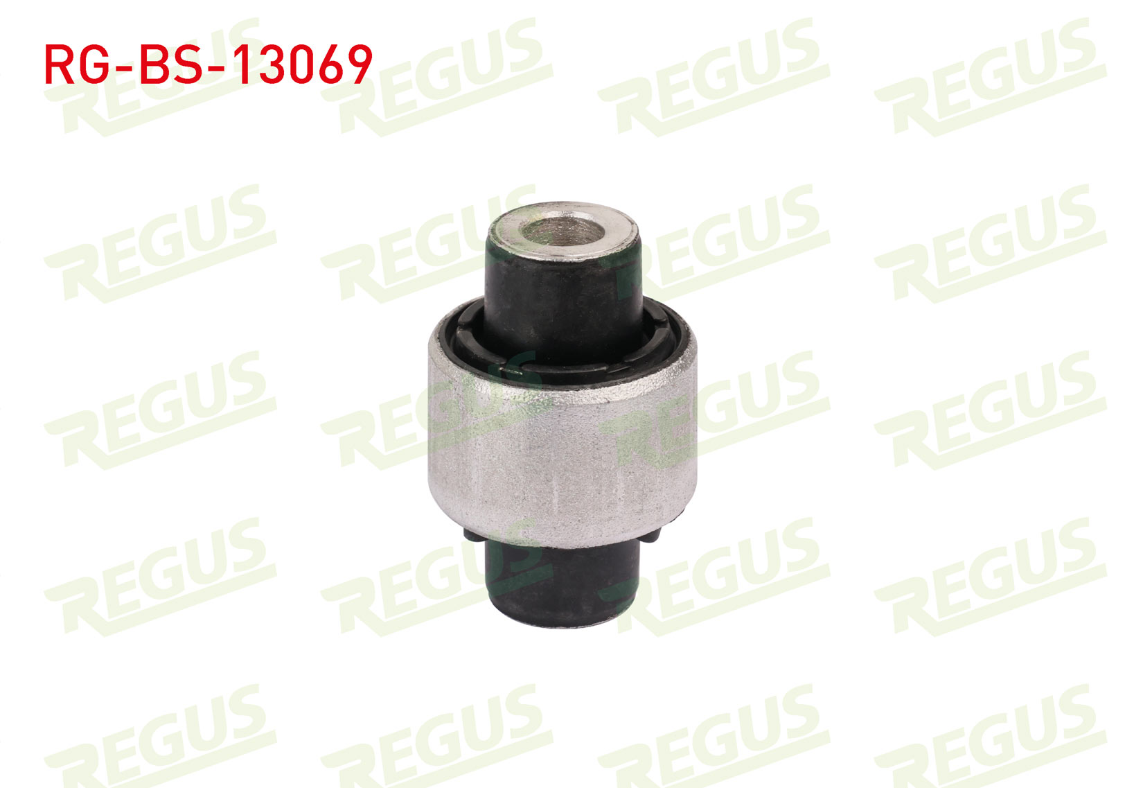 REGUS 57-10607