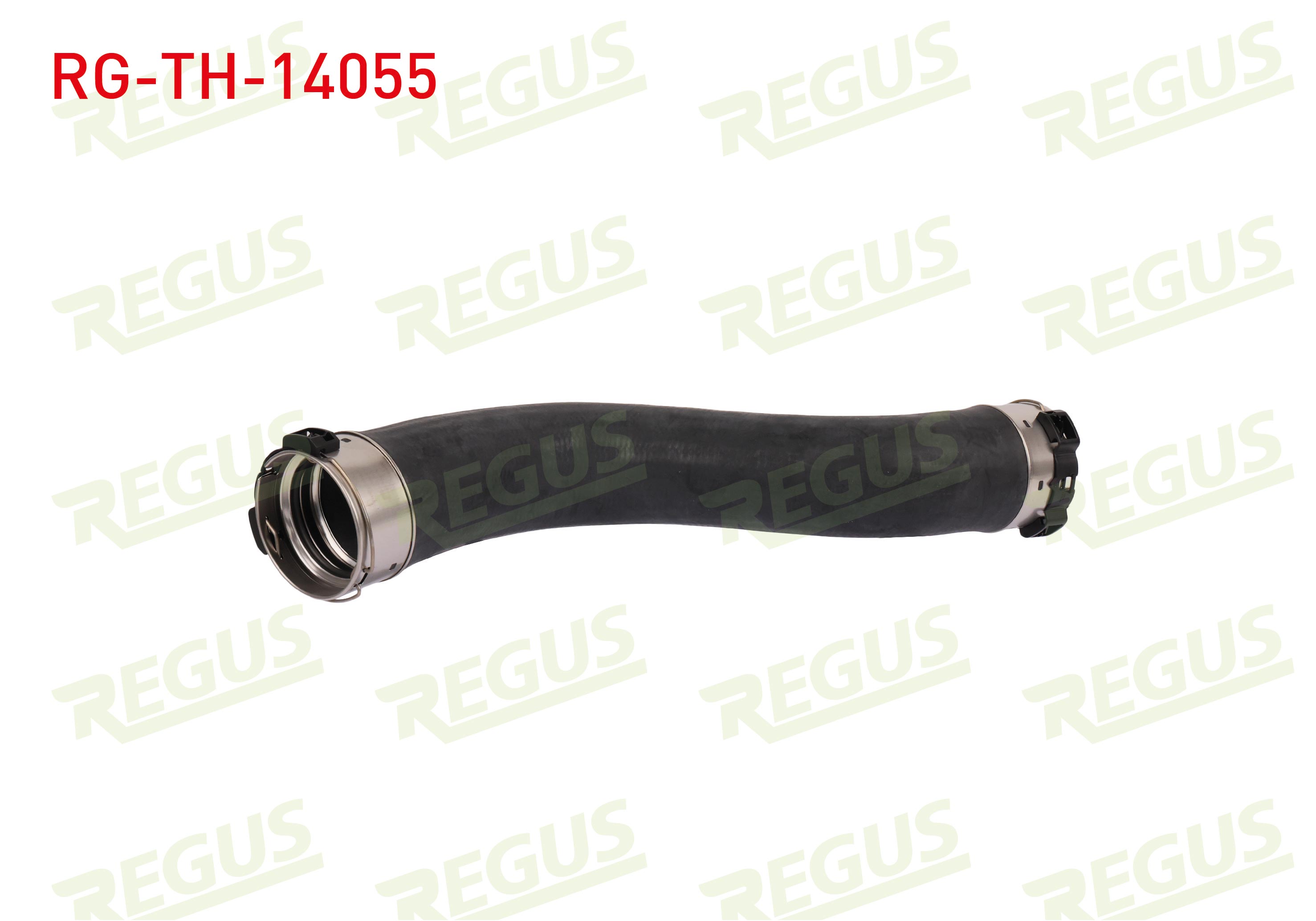 REGUS 