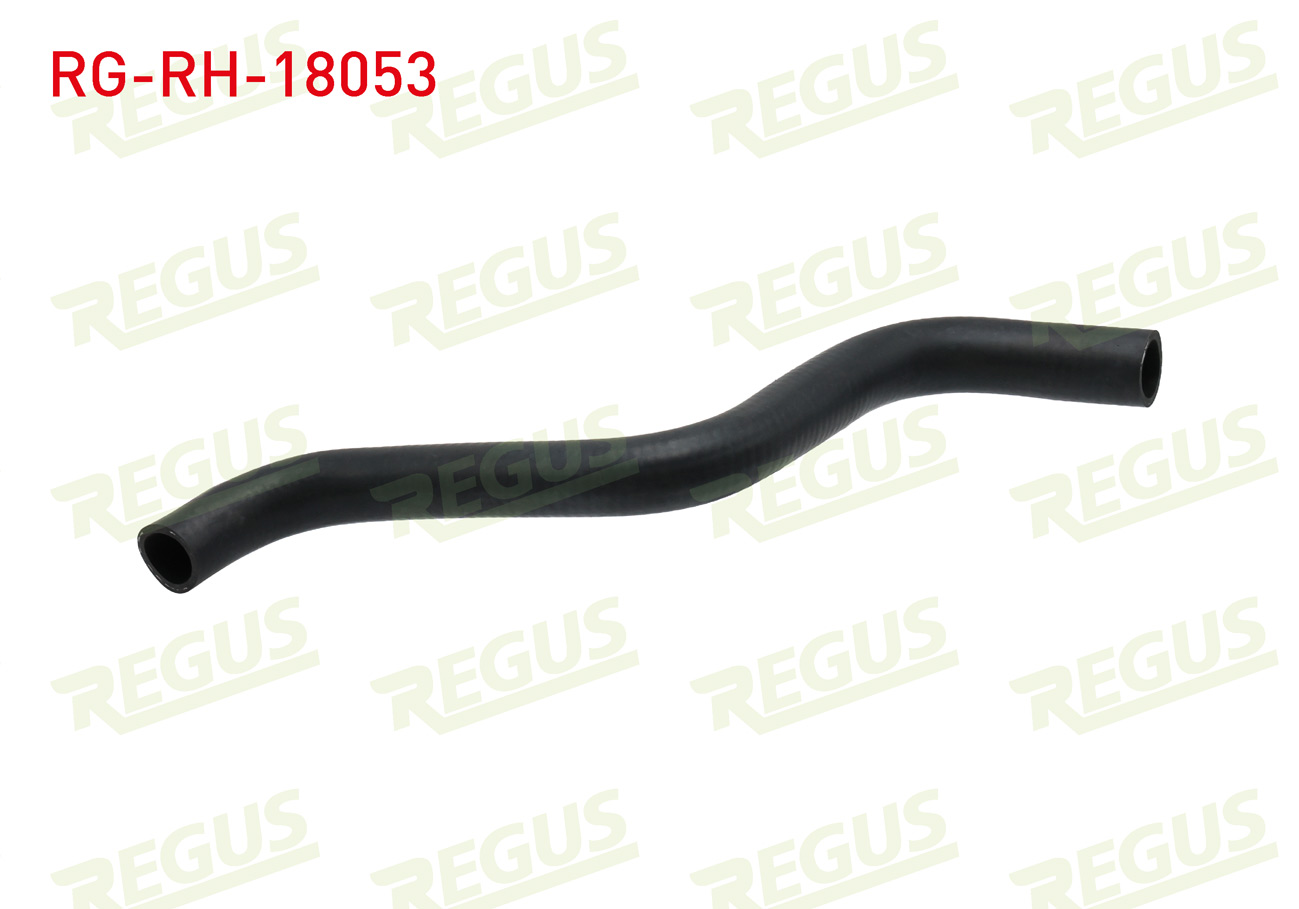 REGUS 15204