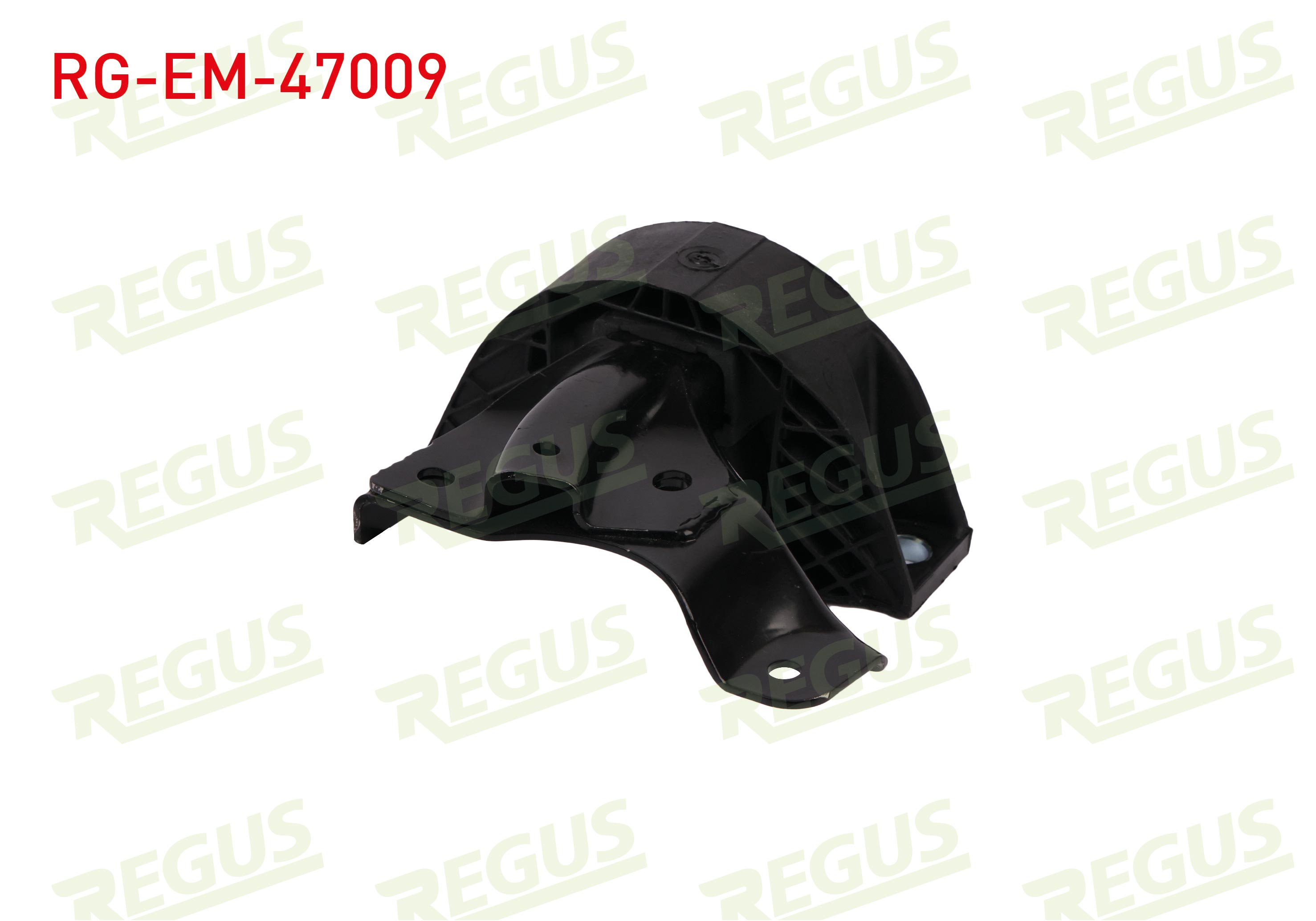 REGUS 