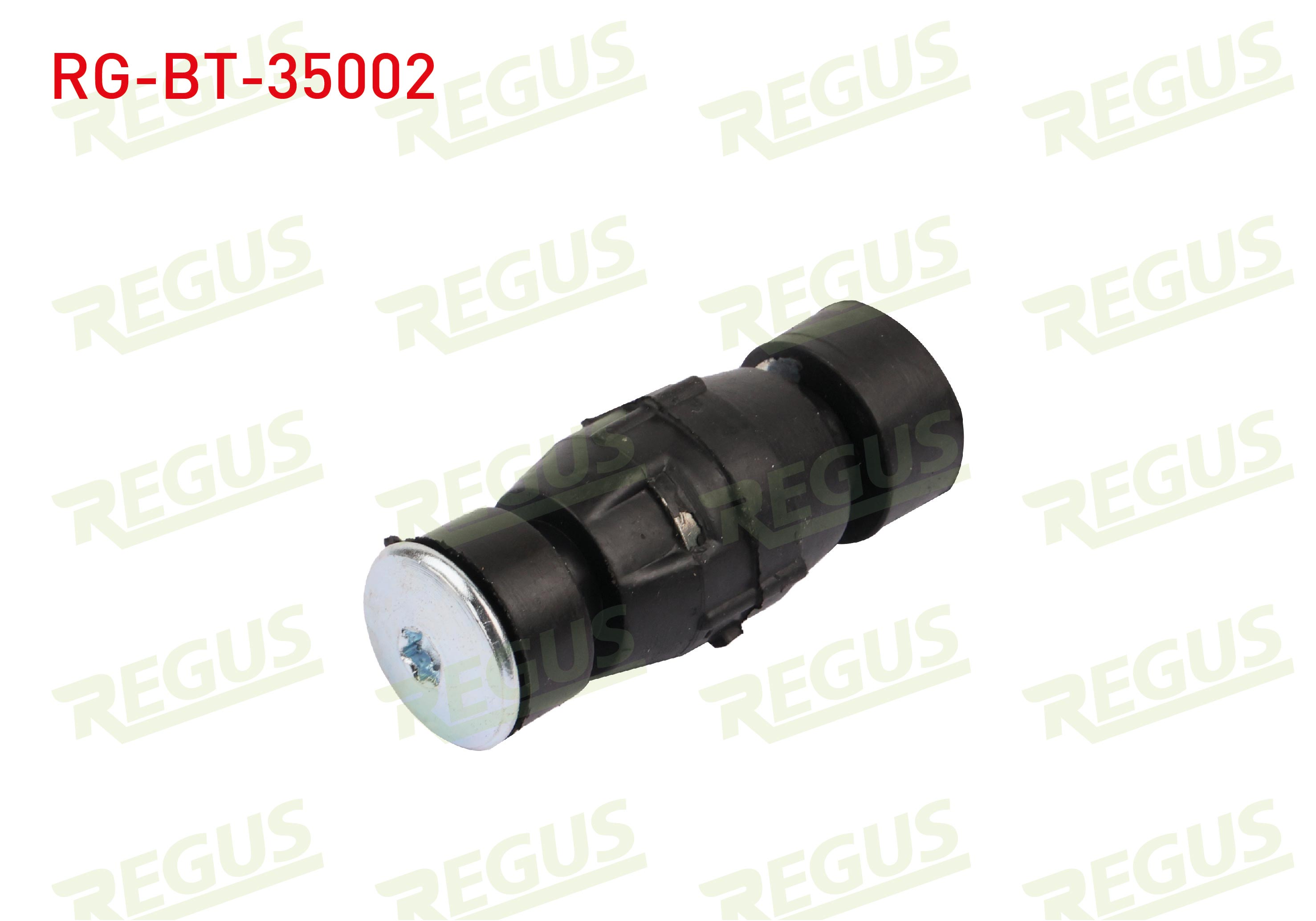 REGUS 50-07490