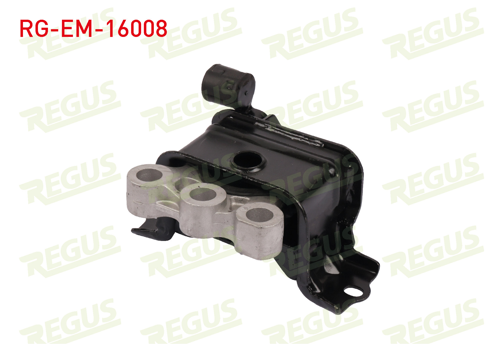 REGUS 61-13685