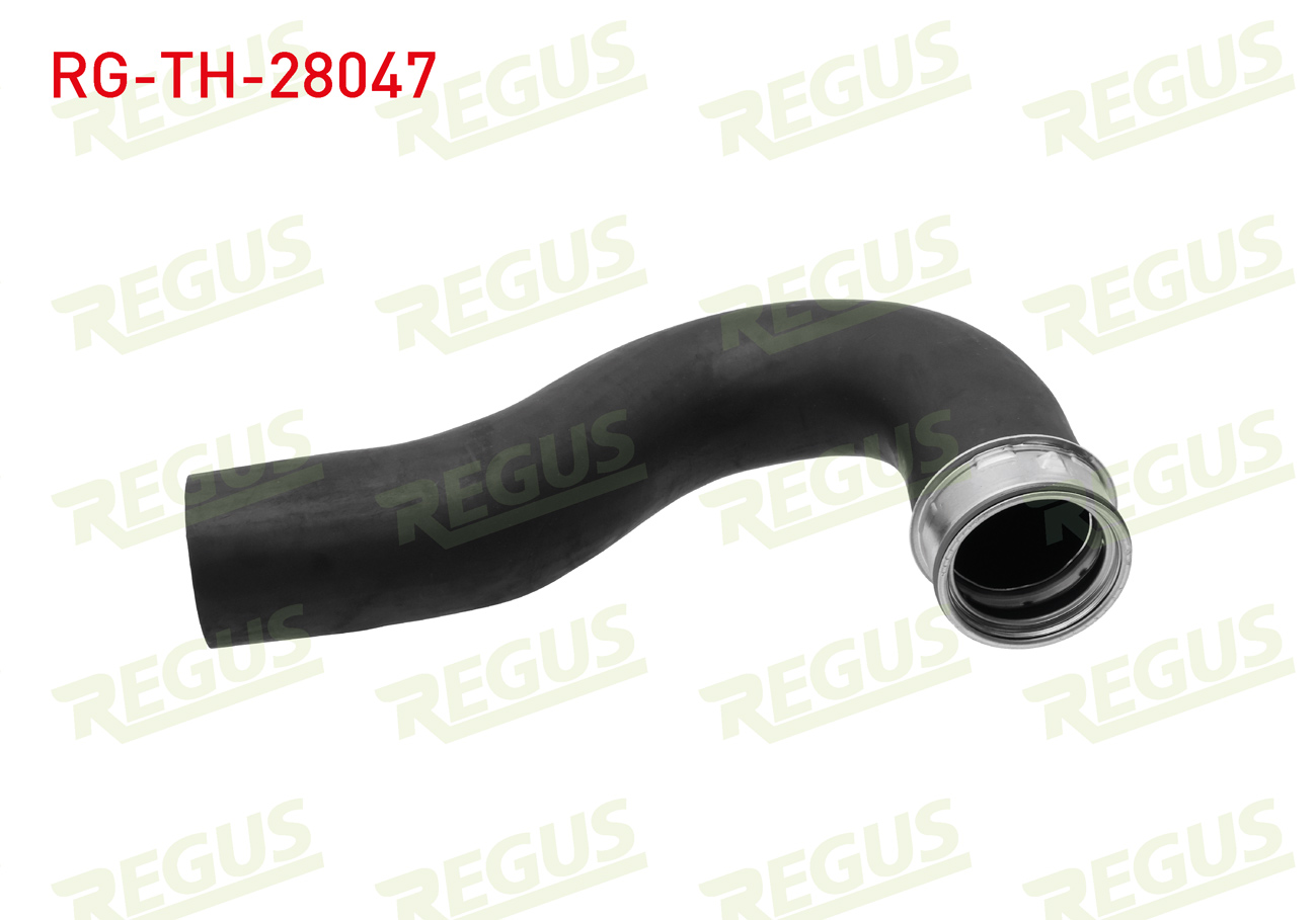 REGUS 33414