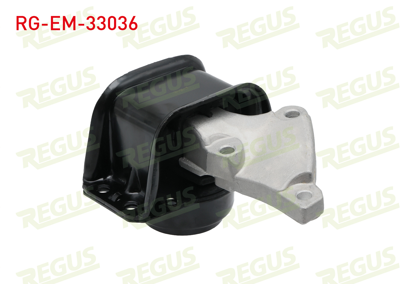 REGUS 