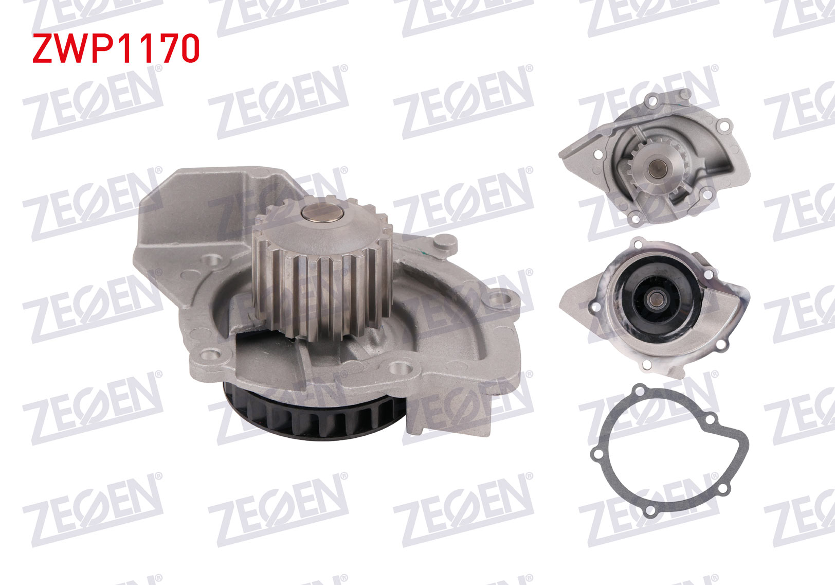 ZEGEN 986902