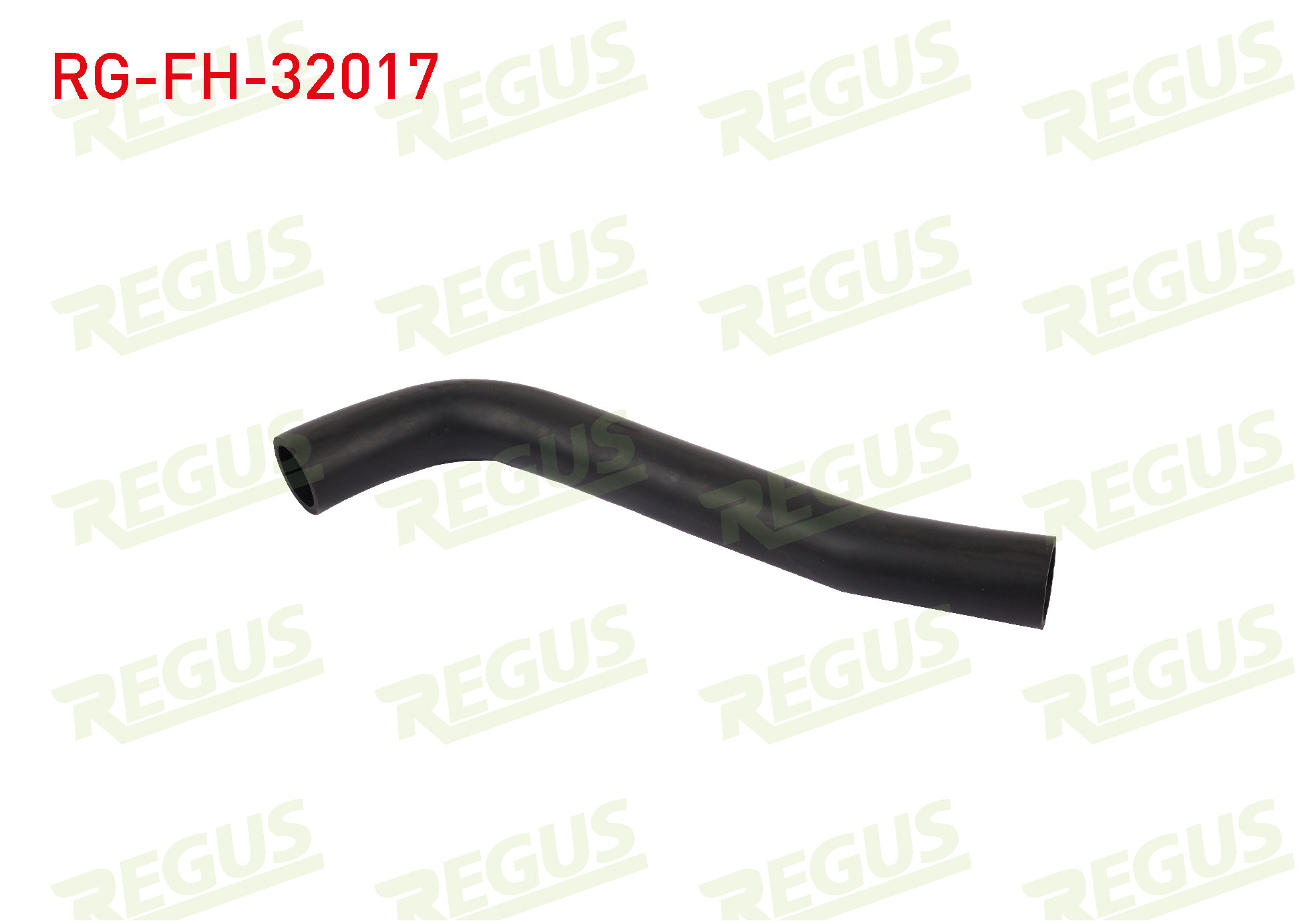REGUS 21320