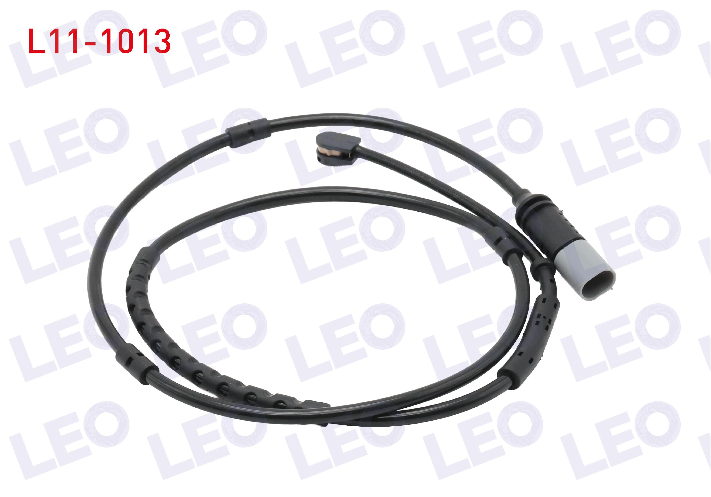LEO 