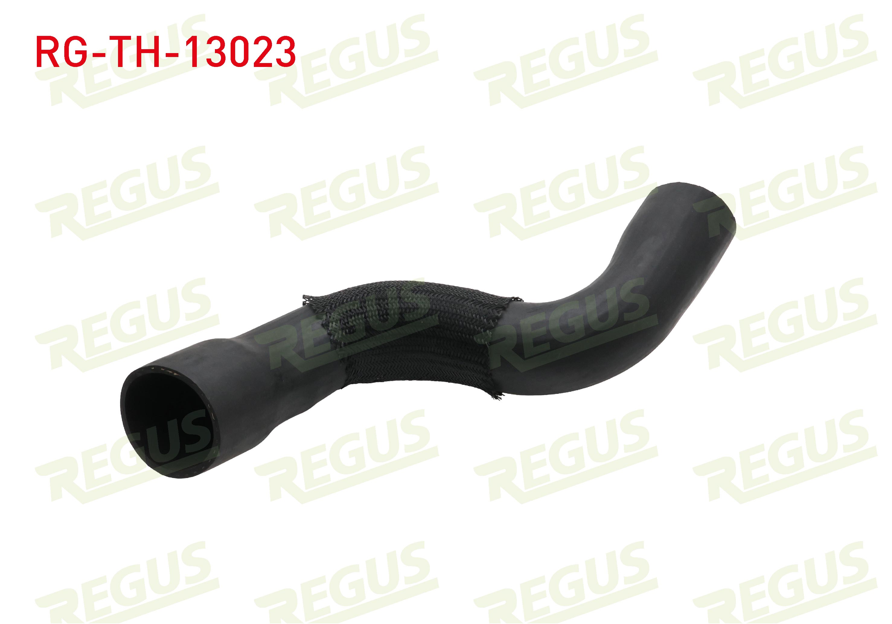 REGUS 27175