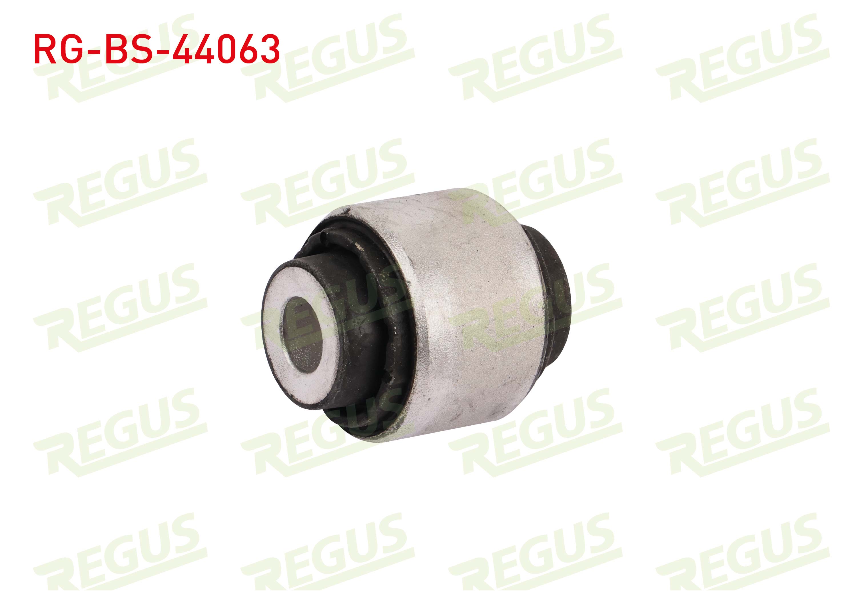 REGUS 29919 01
