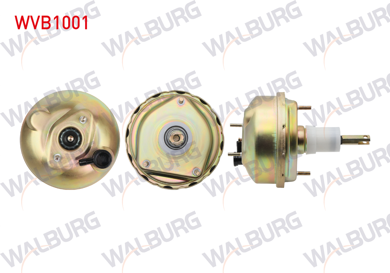 WALBURG 