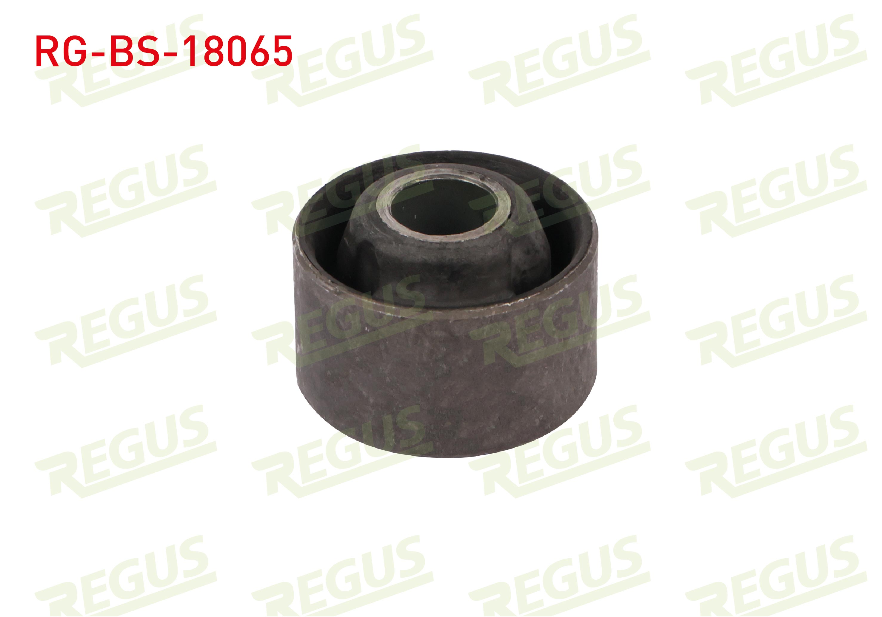 REGUS 63-05478