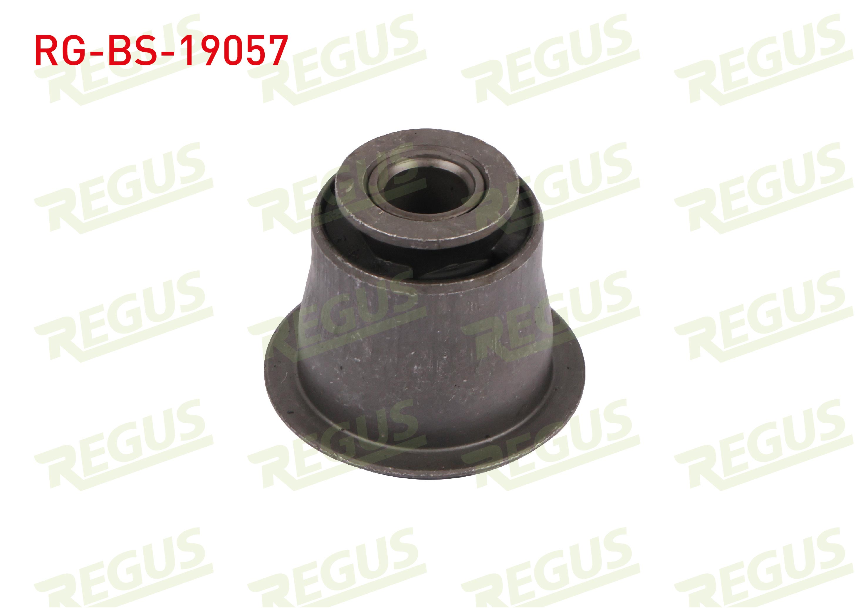 REGUS 62-09336