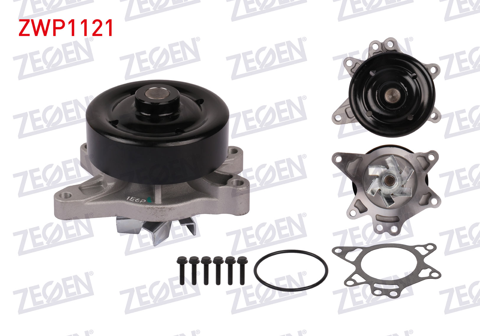 ZEGEN 987673