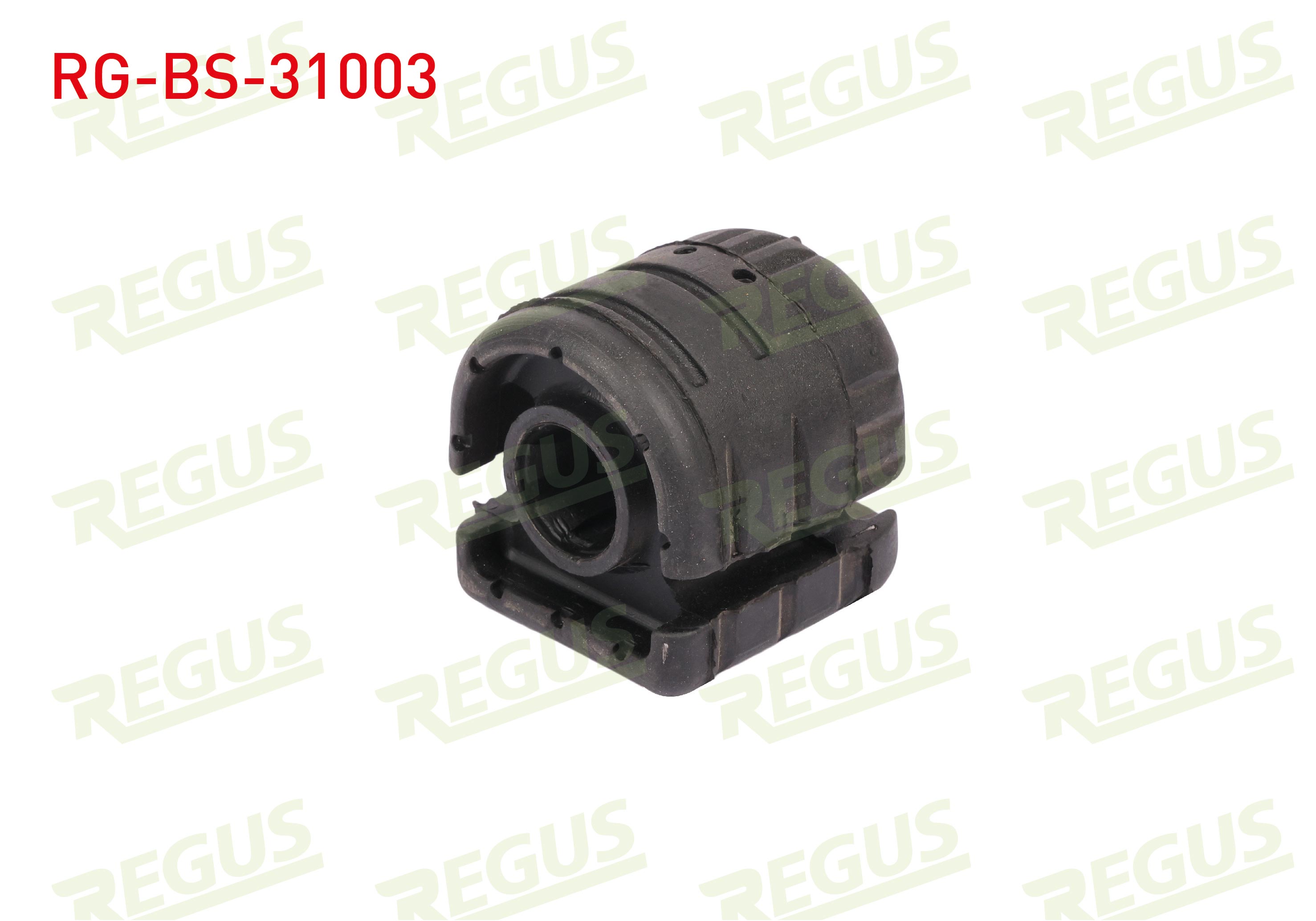 REGUS 57-04213