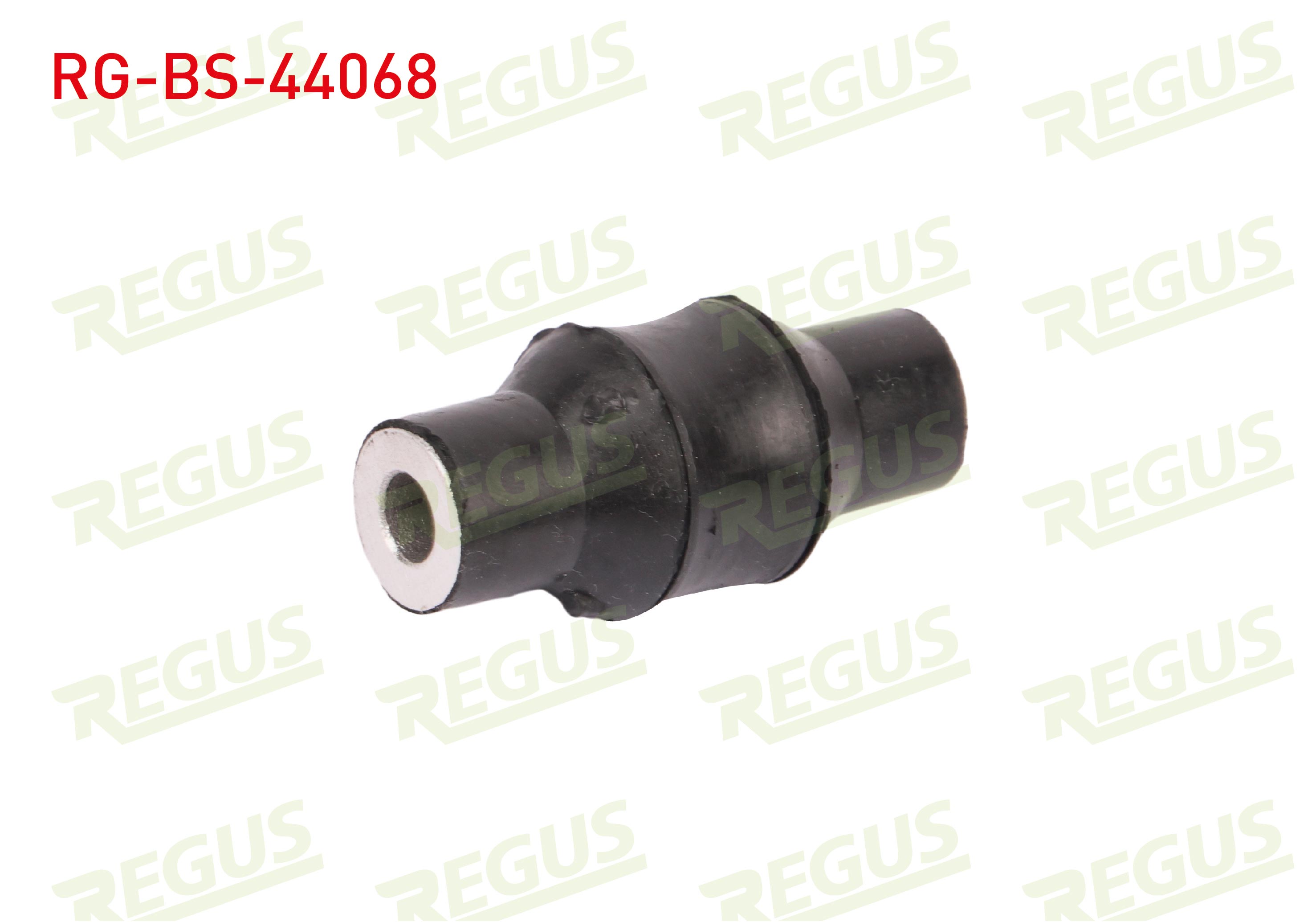 REGUS 65-06258