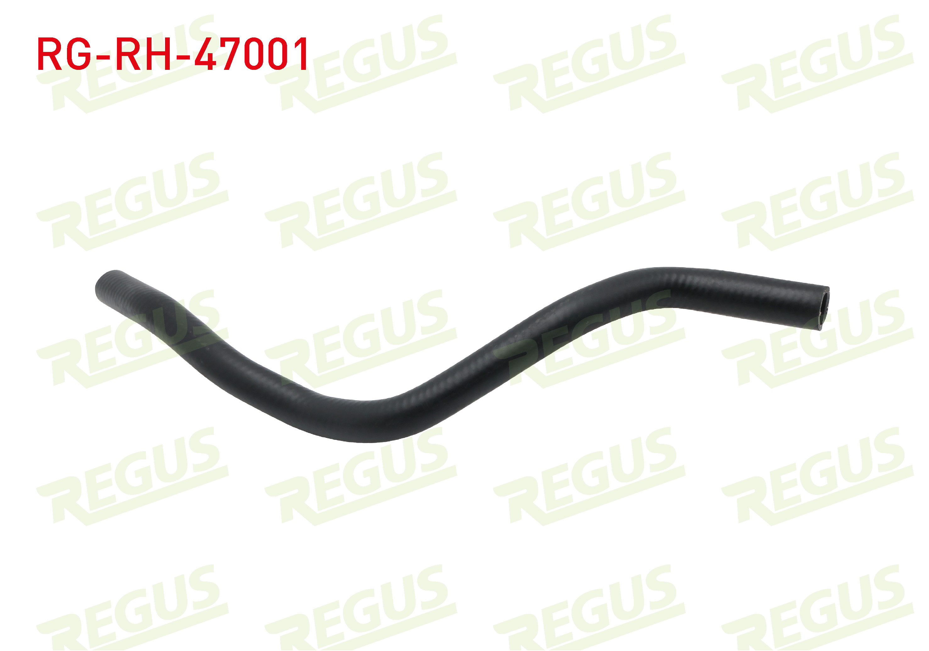 REGUS 11183