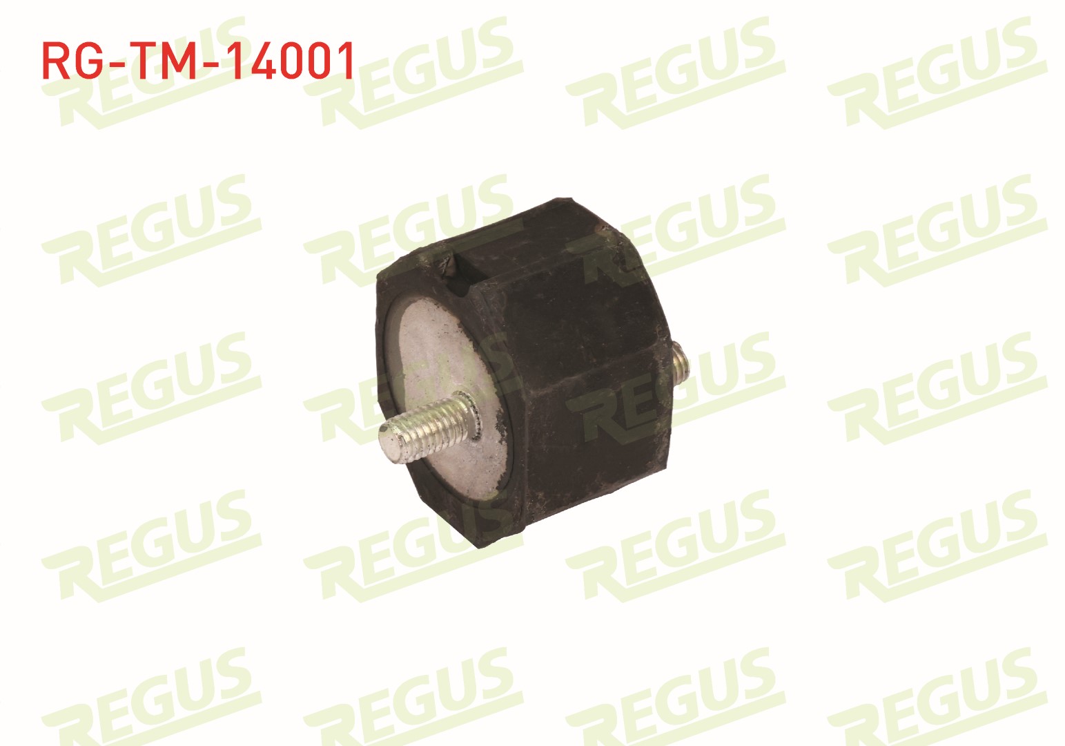 REGUS 04124