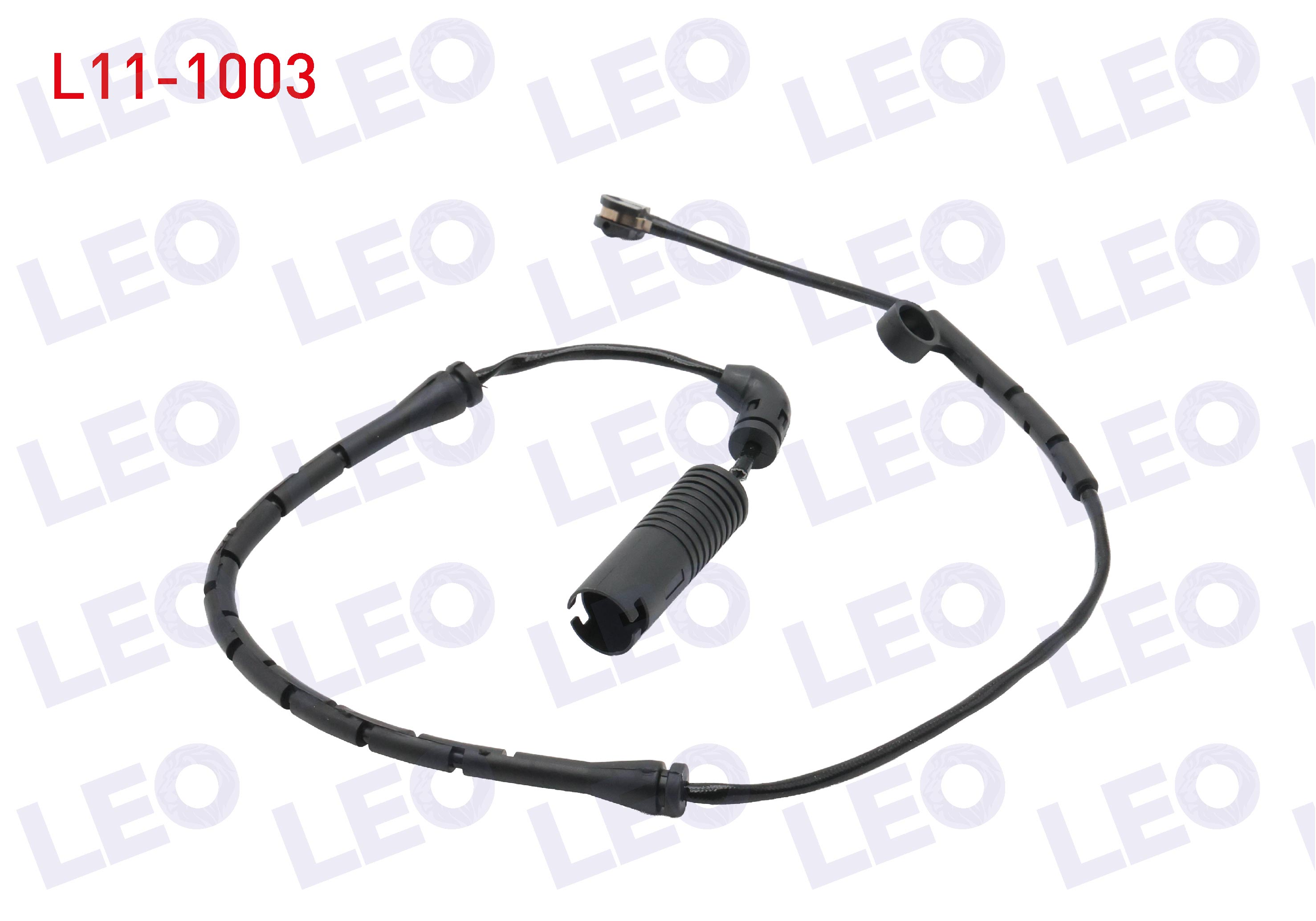 LEO 