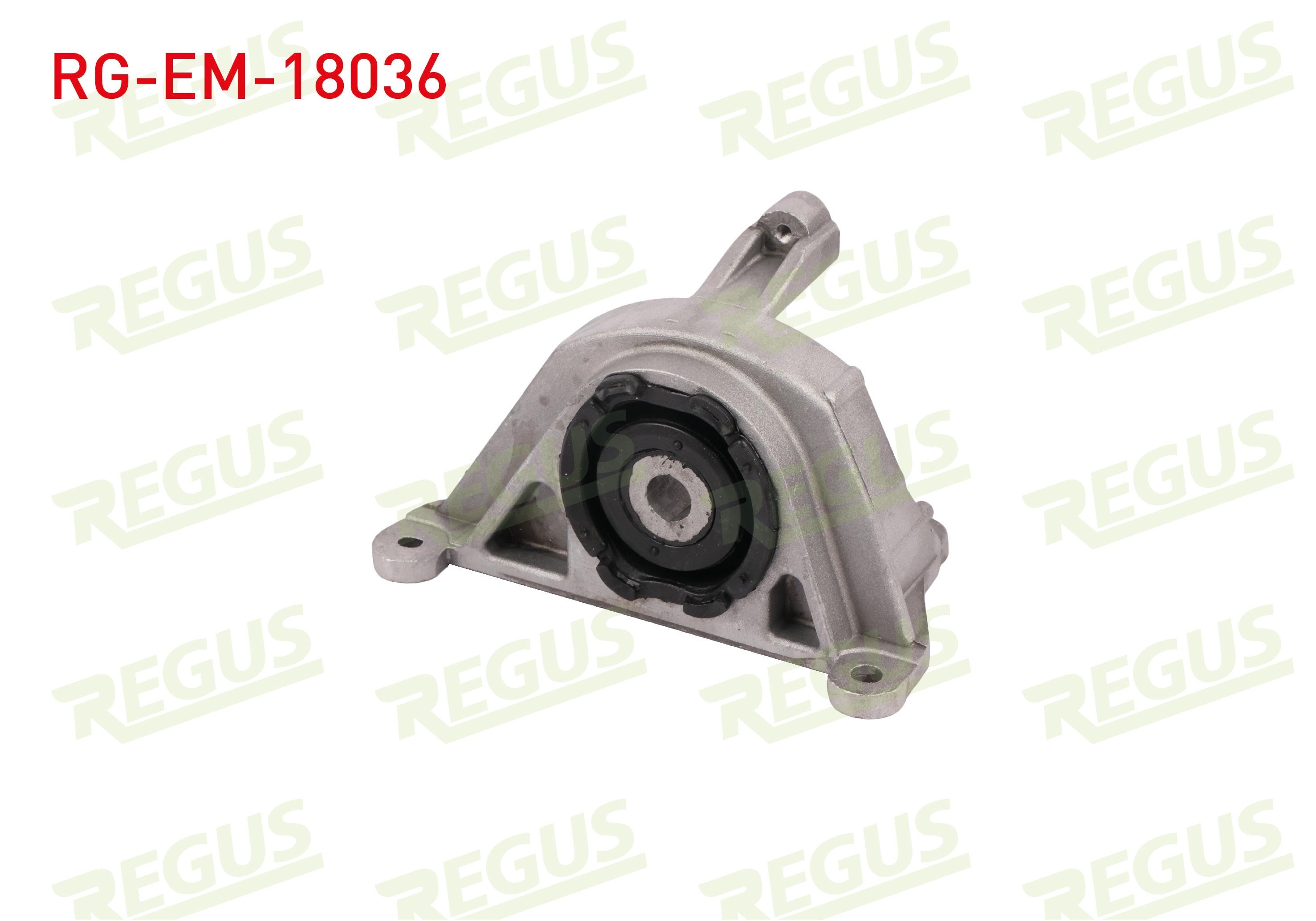 REGUS 9002436 | MOTOR TAKOZU ARKA FIAT DOBLO (119,223) 1.9 JTD 2001-2010