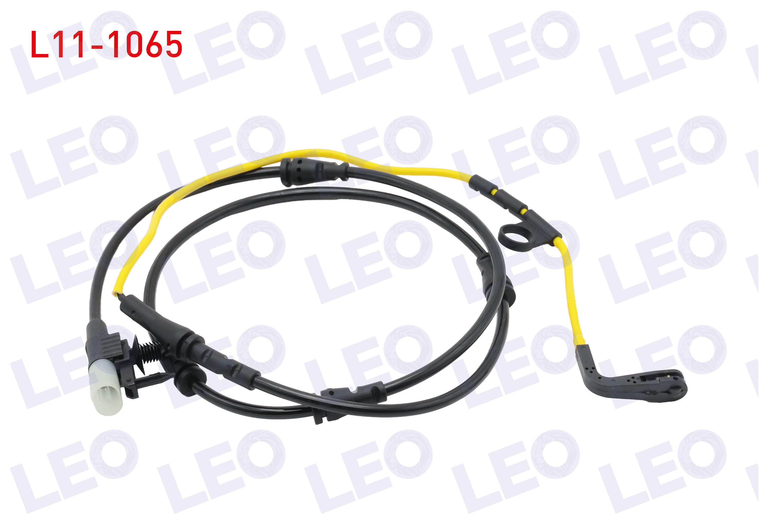 LEO 