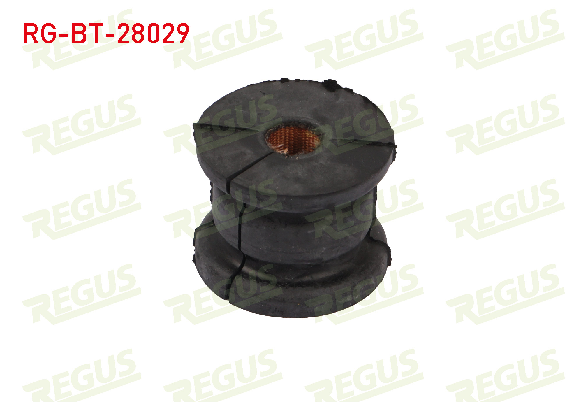 REGUS 65-09034