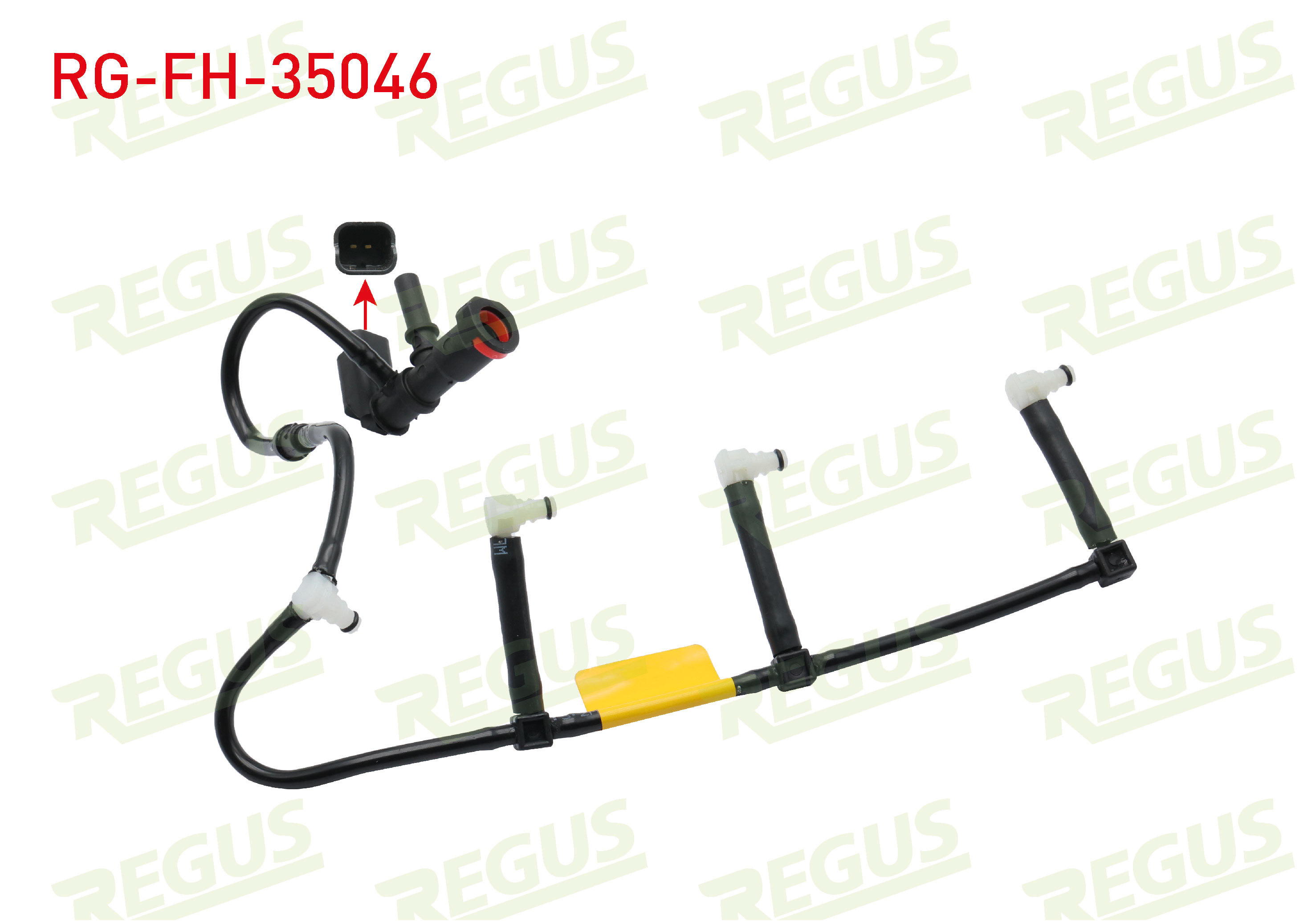 REGUS 