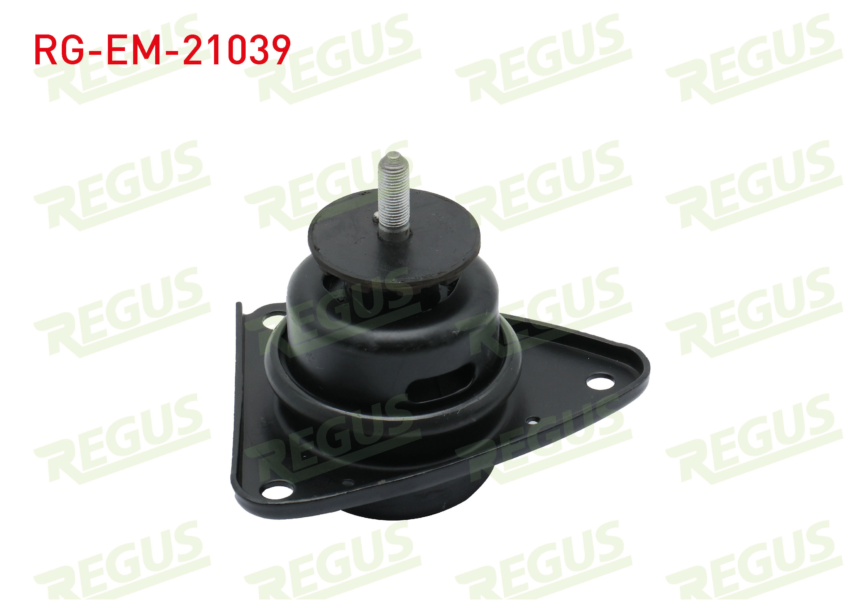 REGUS 61-13691