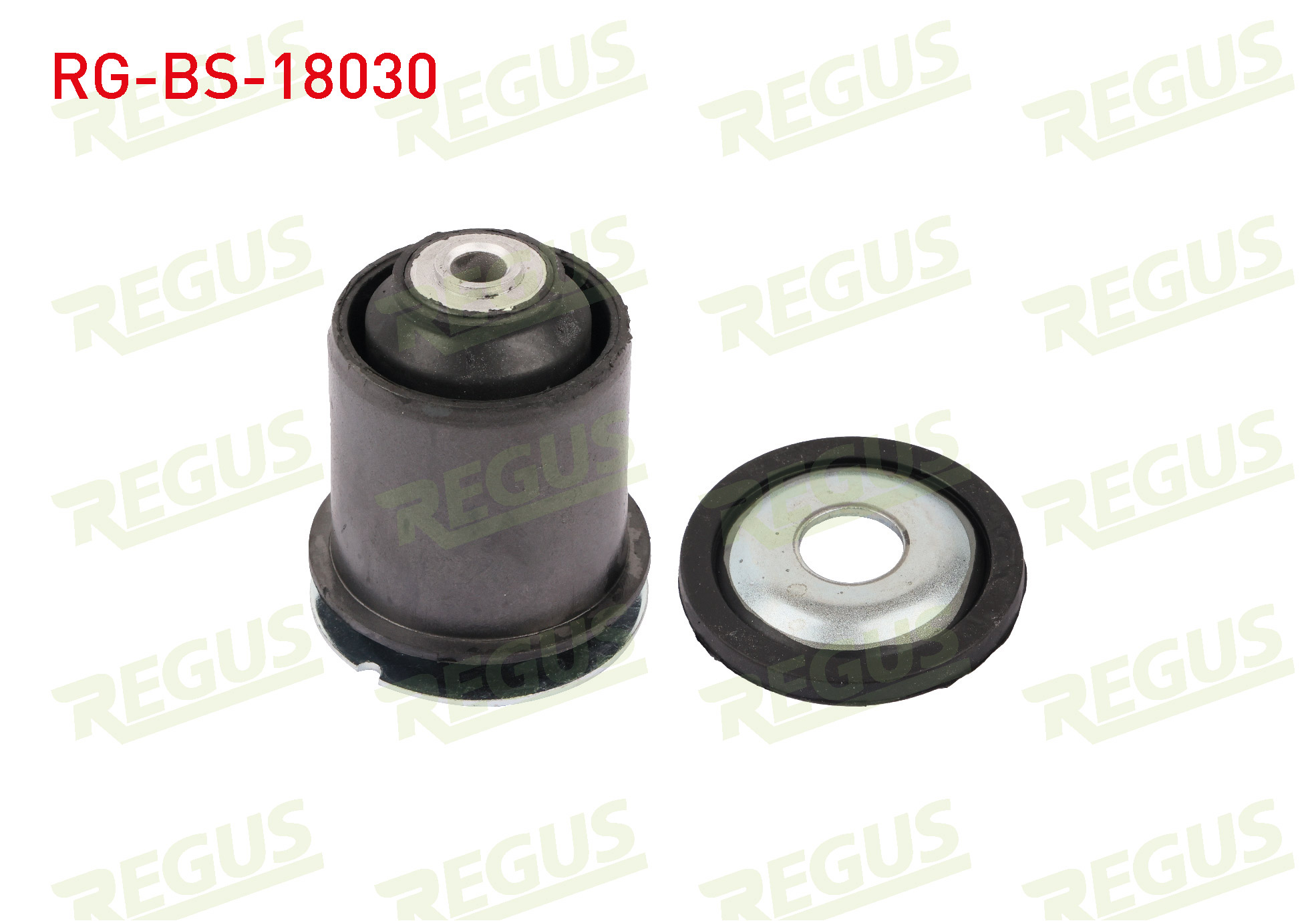 REGUS 36740