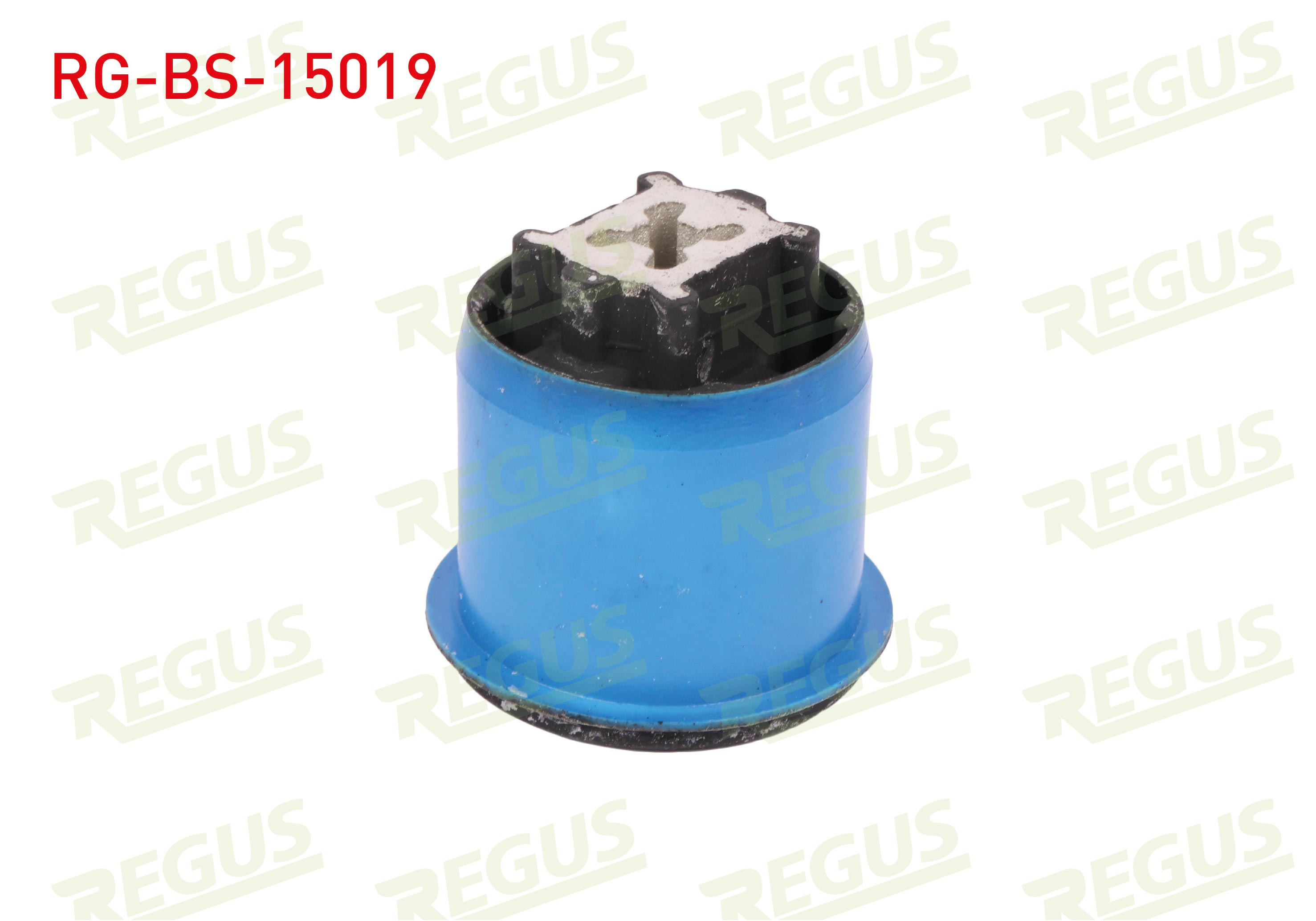 REGUS 62-10260
