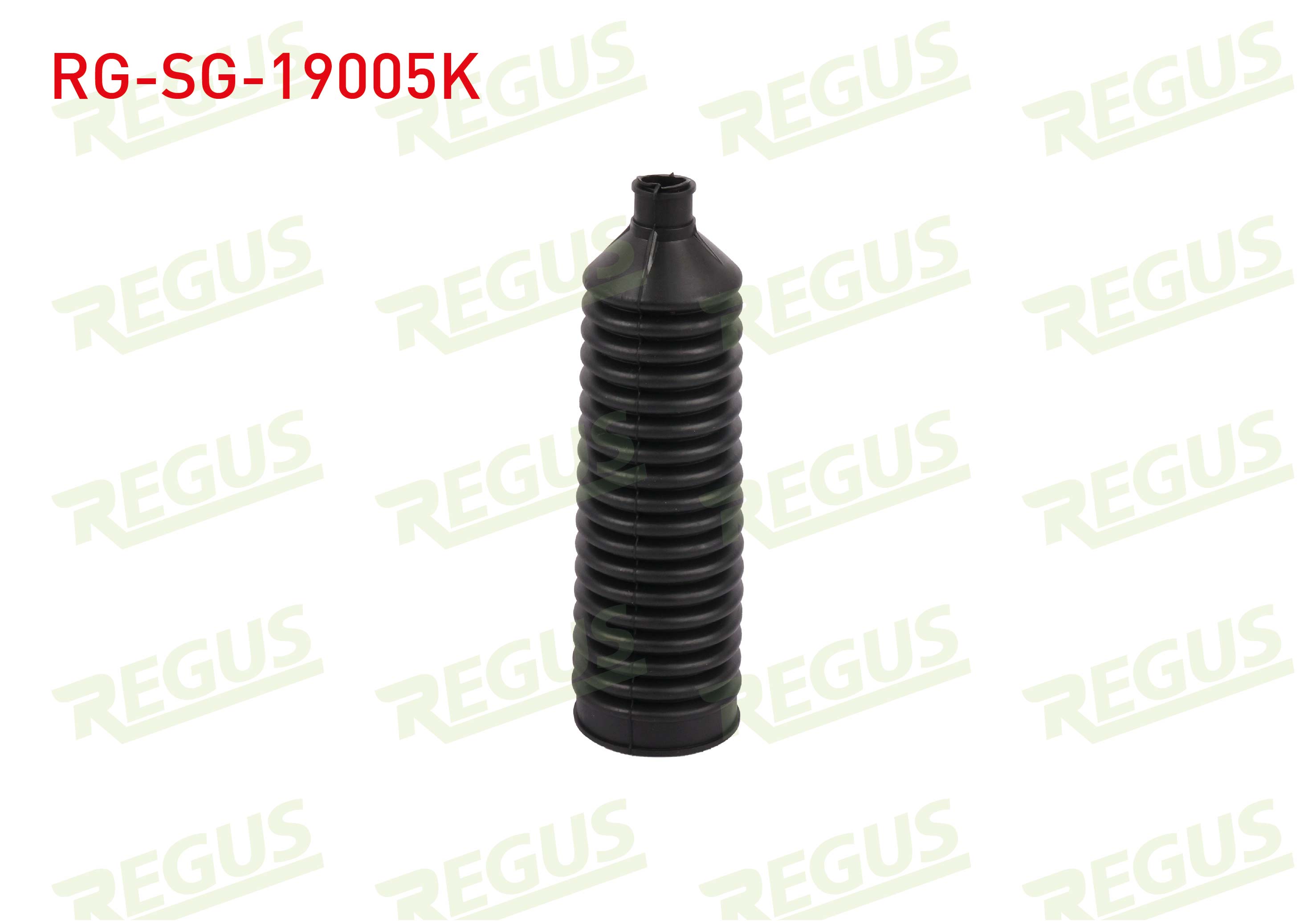 REGUS 